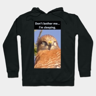 Hawk Sleeping "Don't bother me...I'm sleeping" Hoodie